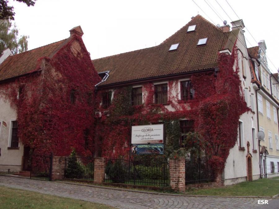 Budowlany zarost.