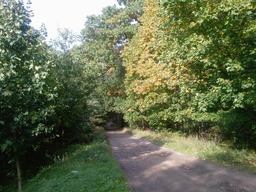 Jesień