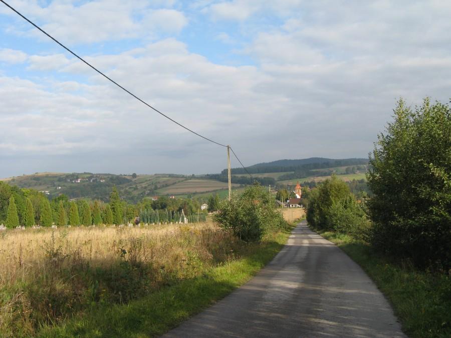 Widoki