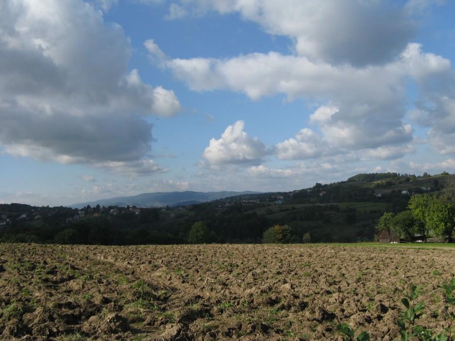 Widoczek