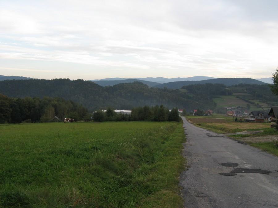 Widoczek