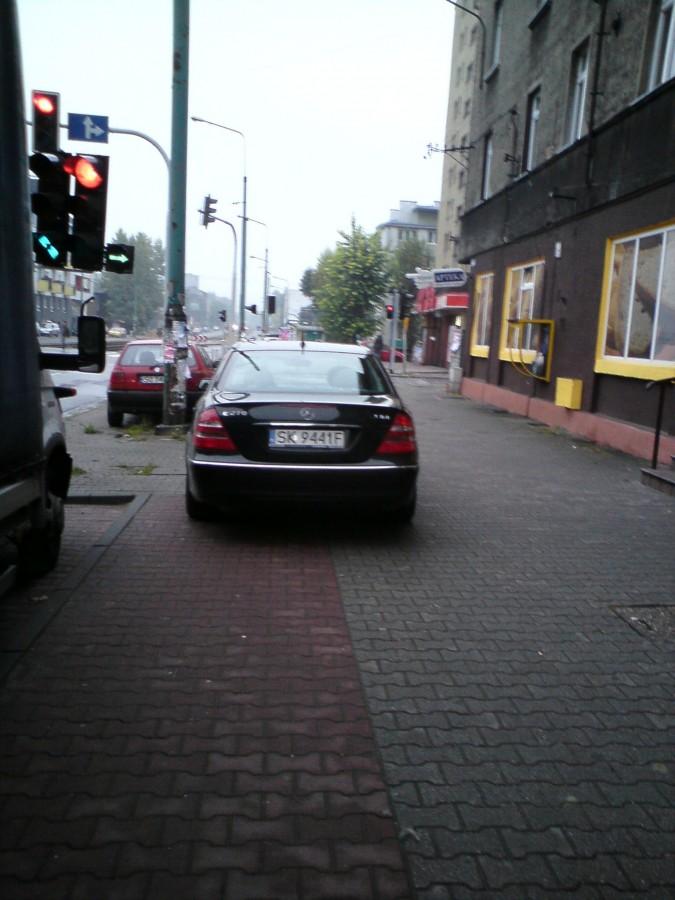burak na ścieżce rowerowej