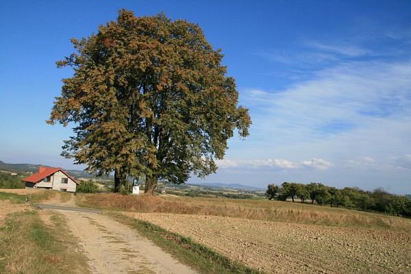 Okolice Rzepiennika Biskupiego