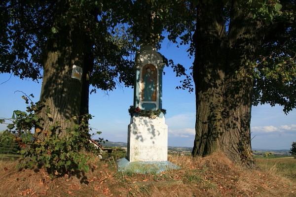 Kapliczka w Rzepinniku Biskupim