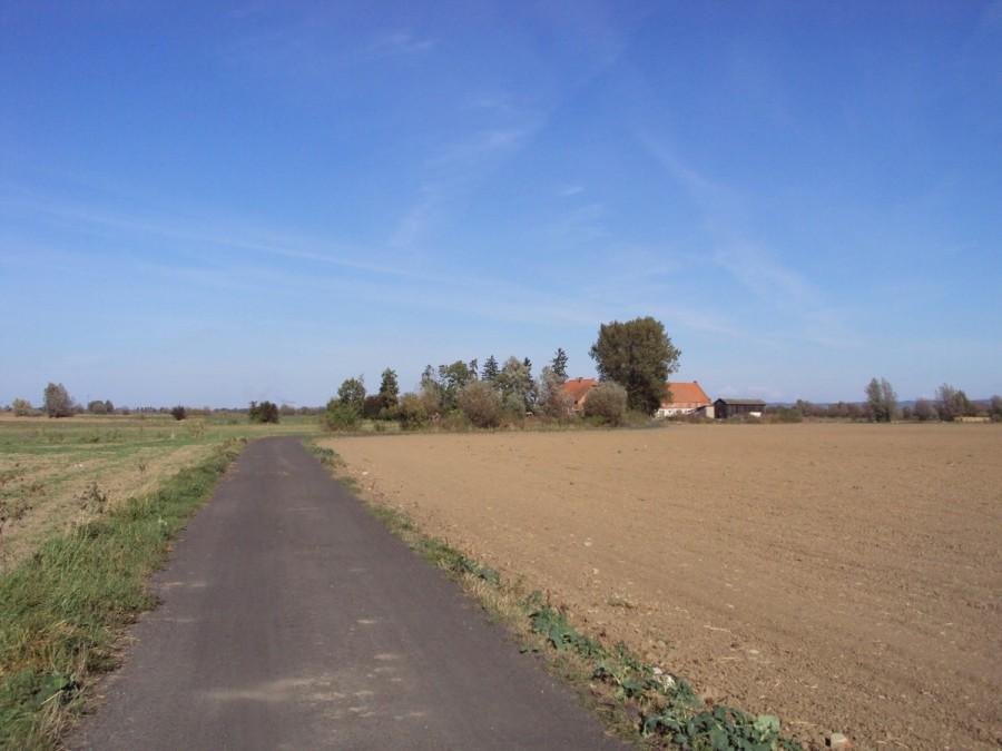 Żuławy