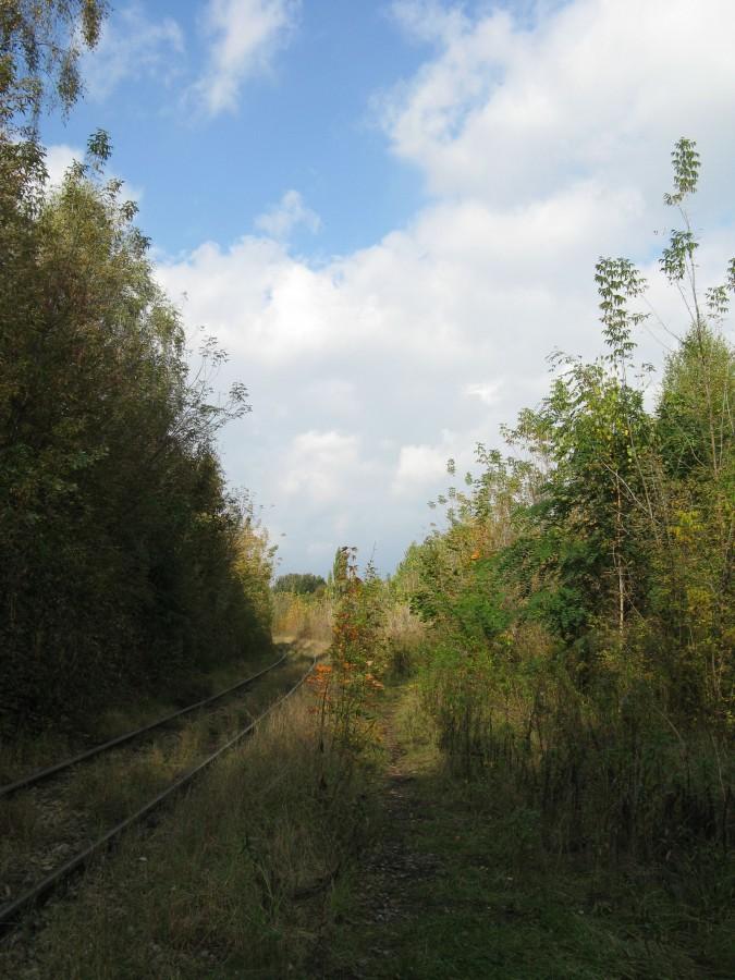 Jesień w pełni