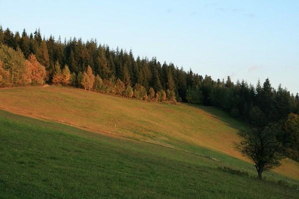 Polana