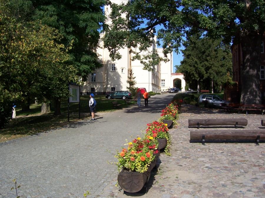 wokół pałacu
