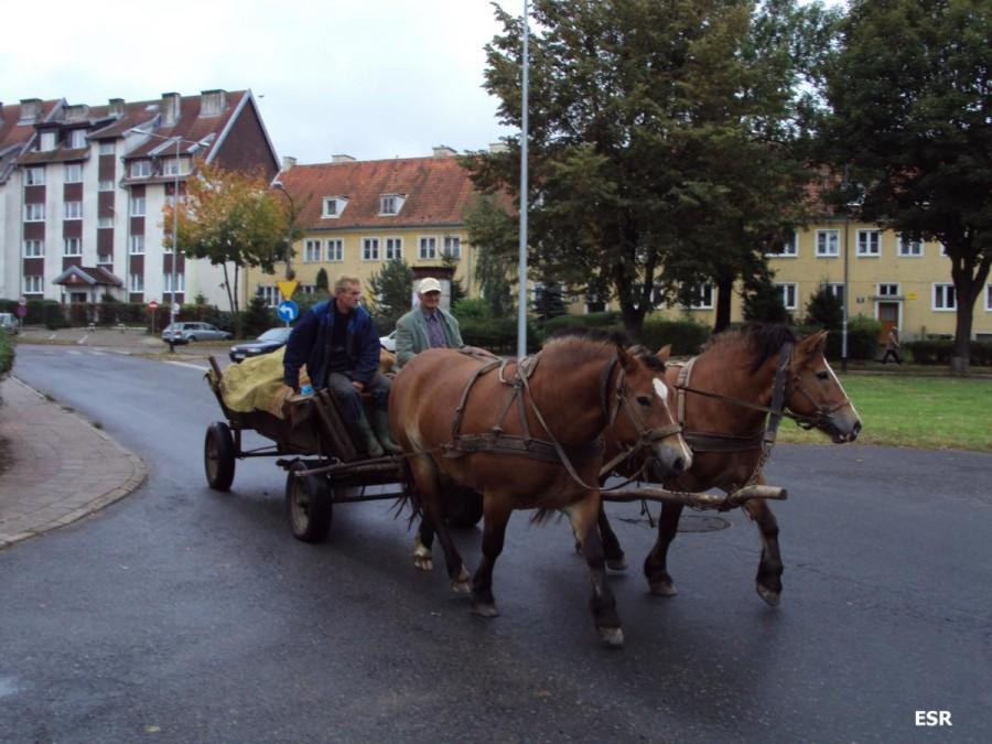 Furmanka