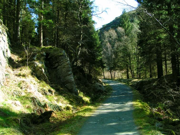 Djupadalen, park