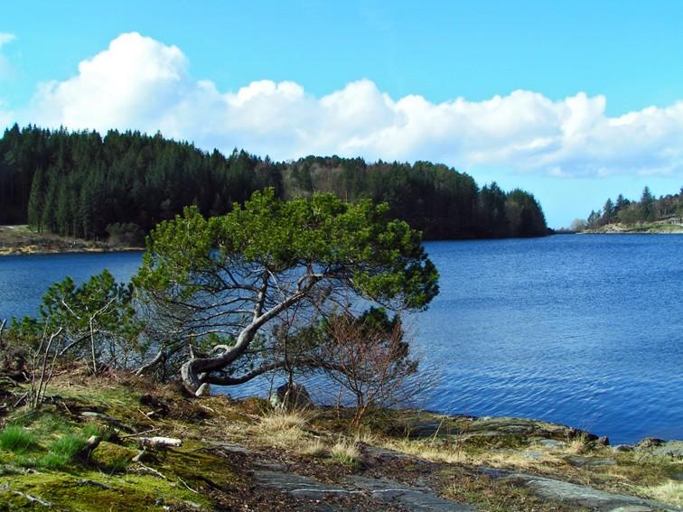 Eivindsvetnet