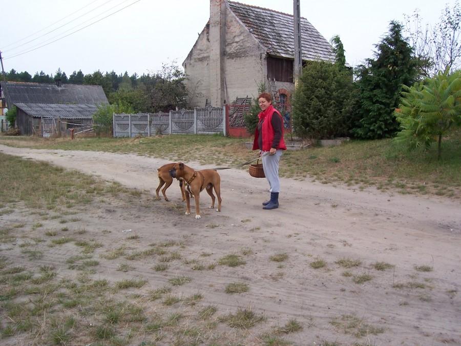 na grzyby