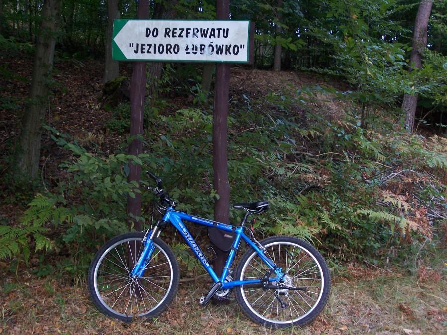 w drodze do rezerwatu