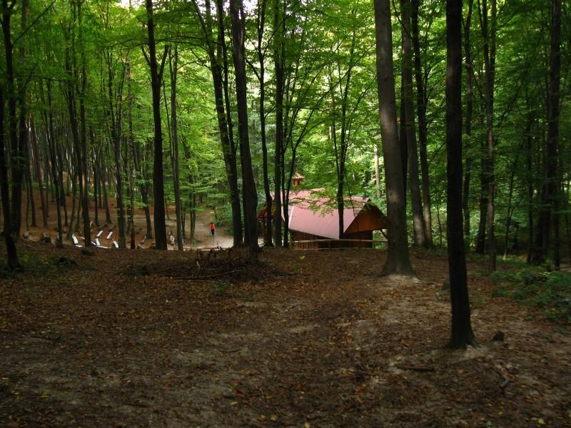 Przylasek.