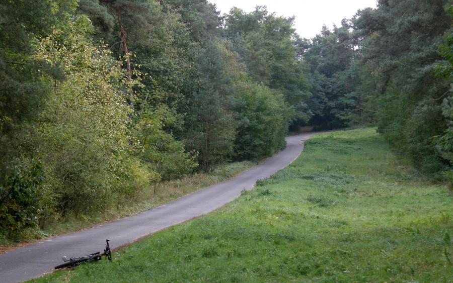 Podjazd na Osową Górę
