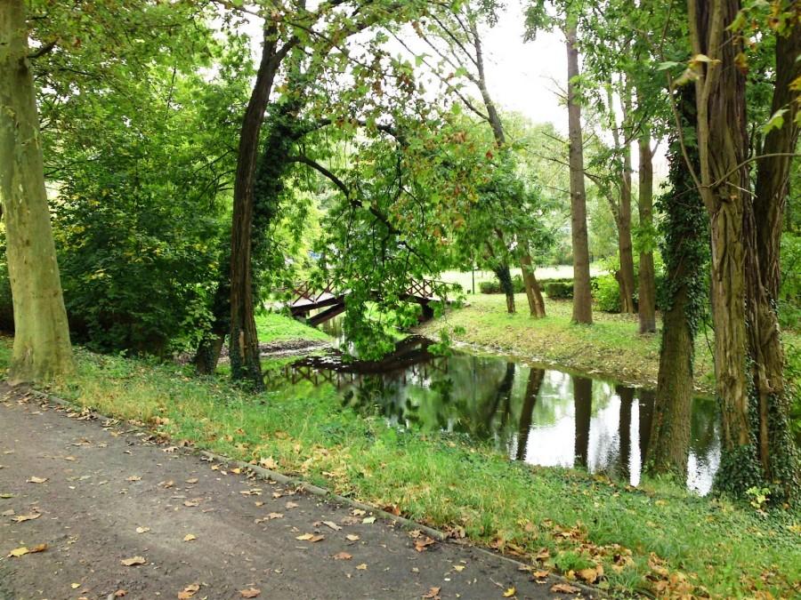 Fosa zmaku w Międzyrzeczu oraz okalający zamek park