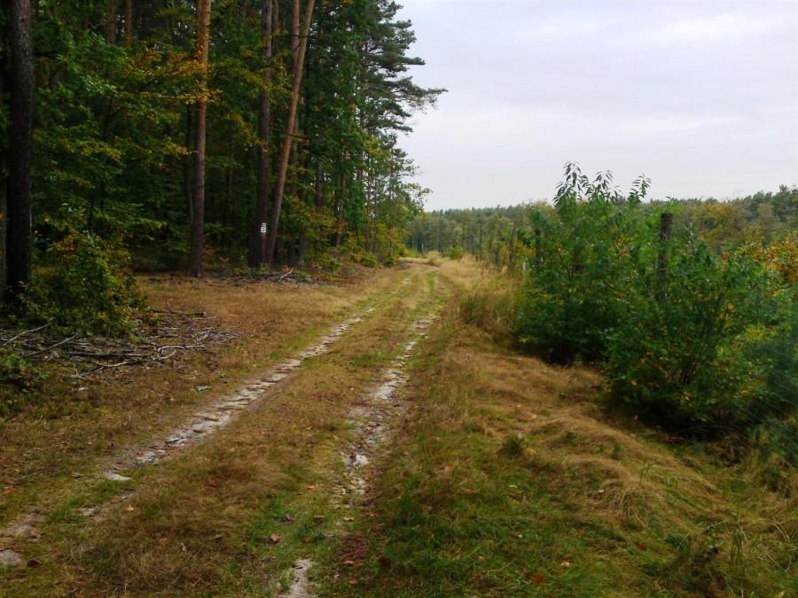 Tam za zakrętem skończył się piaszczysty podjazd, zaś na płaskim odcinku chwilę wytchnienia oraz szansę popatrzeć z góry na jezioro Bukowieckie