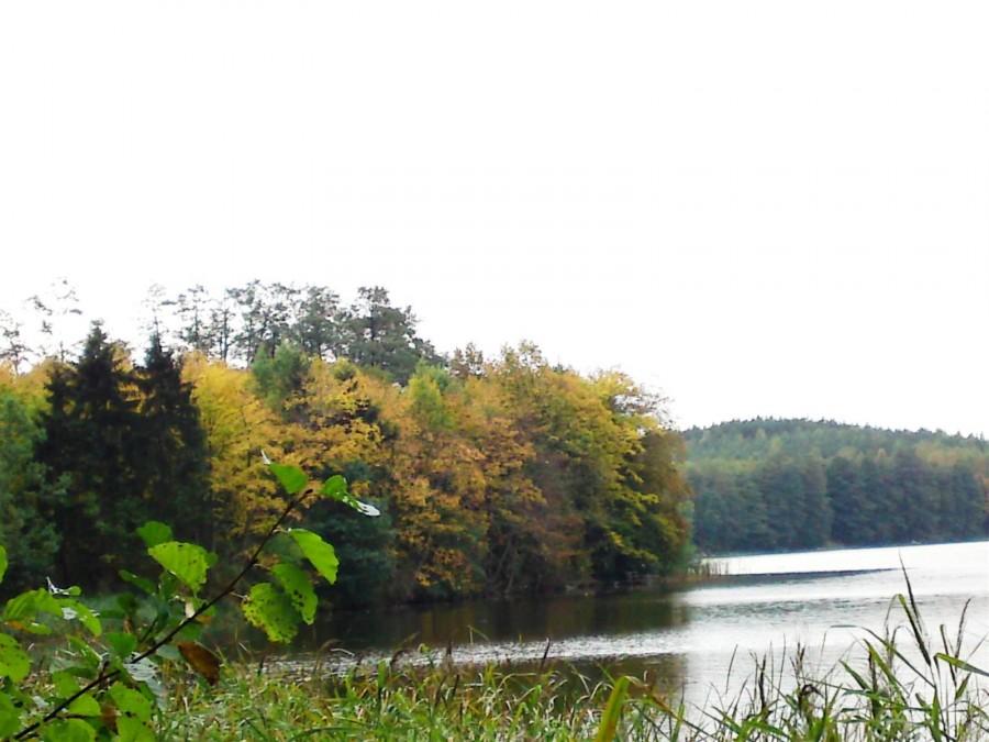 Jezioro Wyszanowskie - jesień