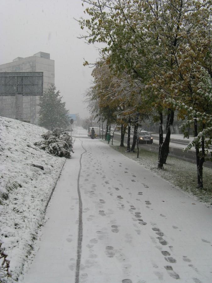 Snow bike