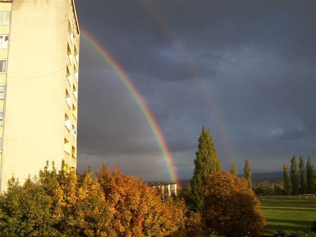 Tęcza