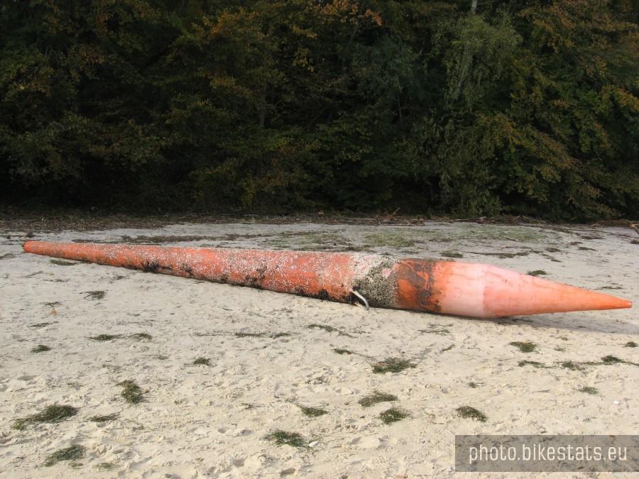 Co ta boja robi na plaży, hmm...