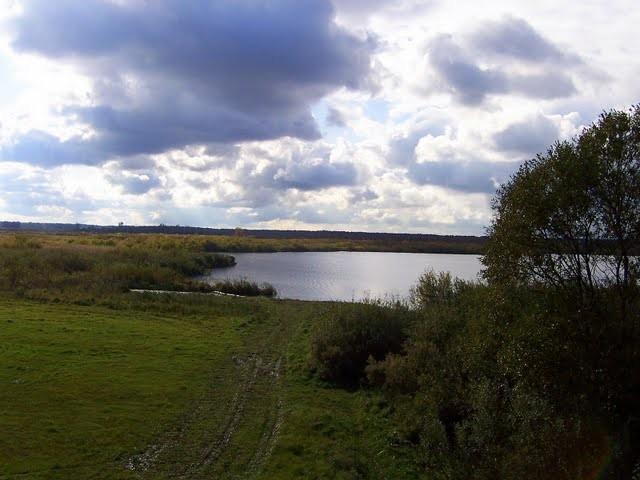 Jeziorko w Ludwigshof