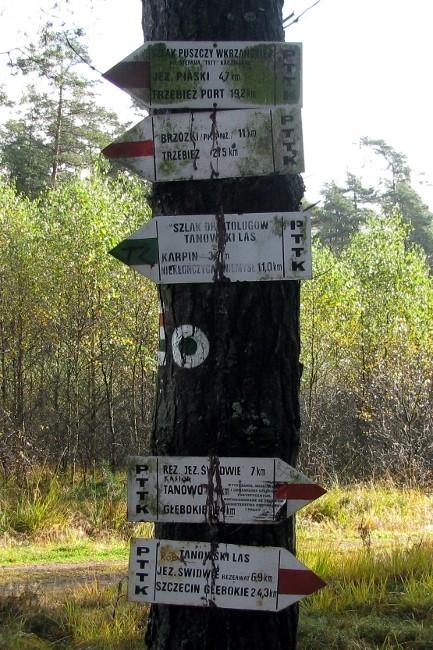 Drogowskazy, Tanowski Las