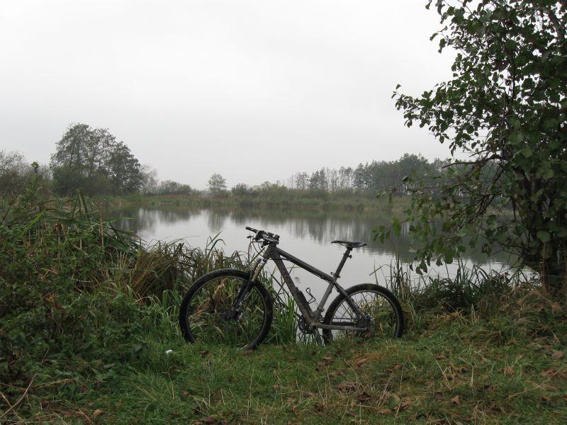 Trzciana.