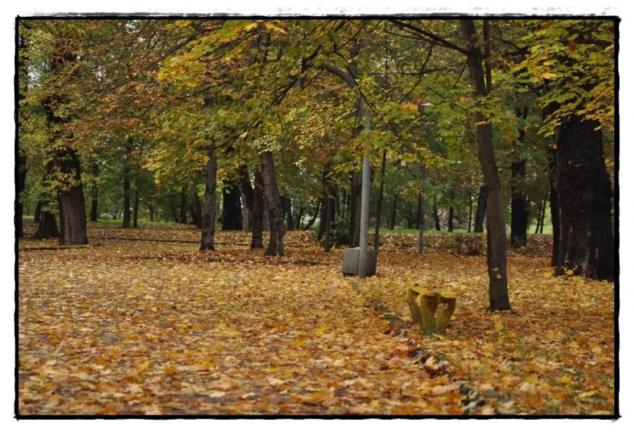 Sosnowiec - Park Schoena