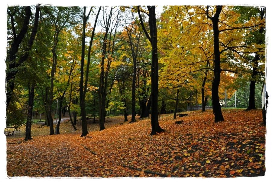 Sosnowiec - Park Żeromskiego