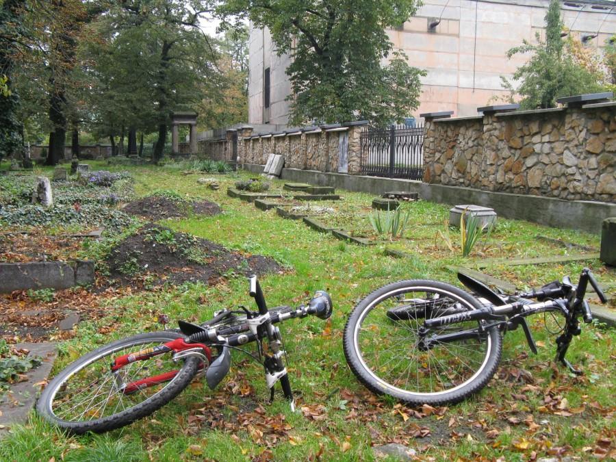 Rumaki na cmentarzu hutników