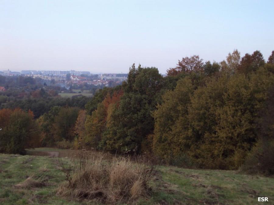 Na Górze Chrobrego