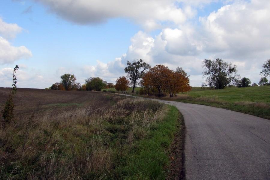 Droga pomiędzy Bobolinem a Stobnem