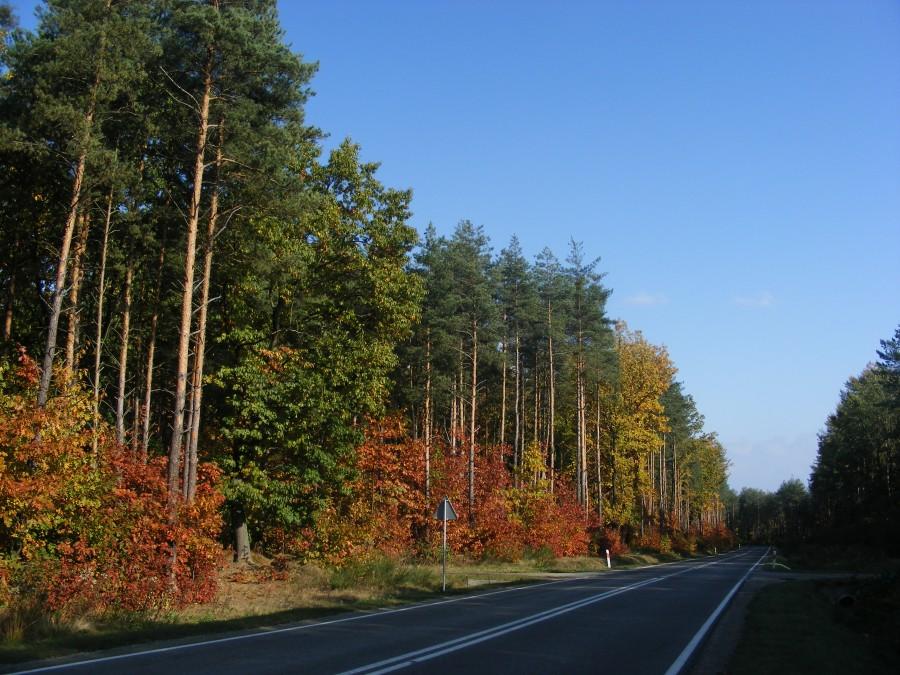 Przy drodze na lotnisko