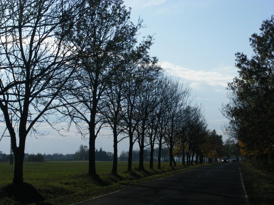 Droga do Głogowa