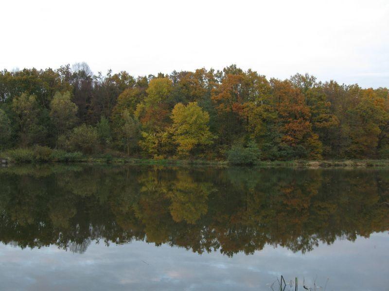 Stawy-Markówki.