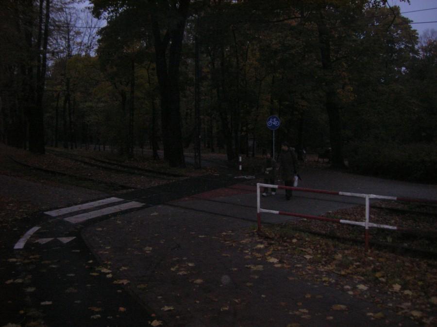 Autostrada rowerowa w Bytomiu (Park Miejski)
