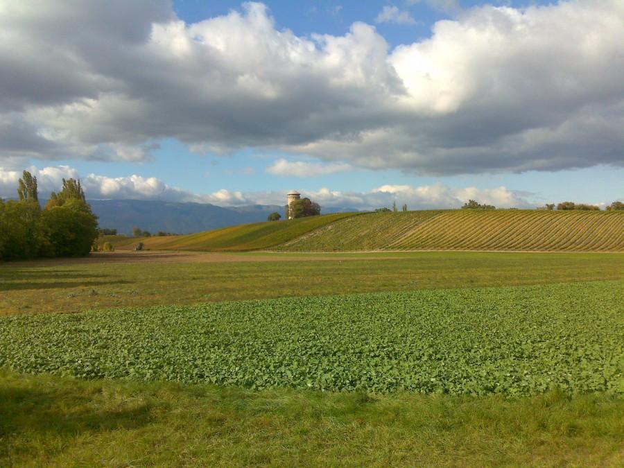 Somwhere in France