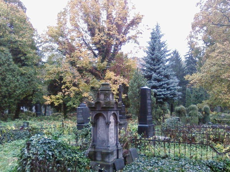 Stary Cmentarz