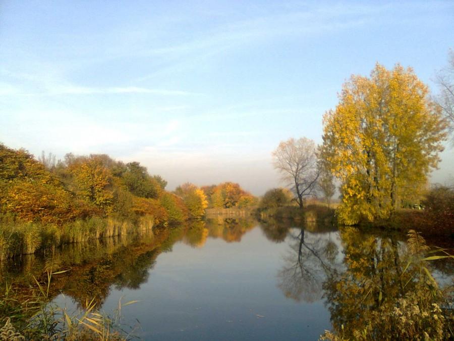 Żabie Doły I