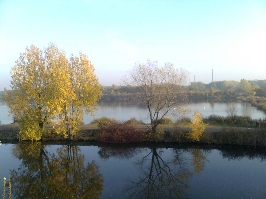Żabie Doły II