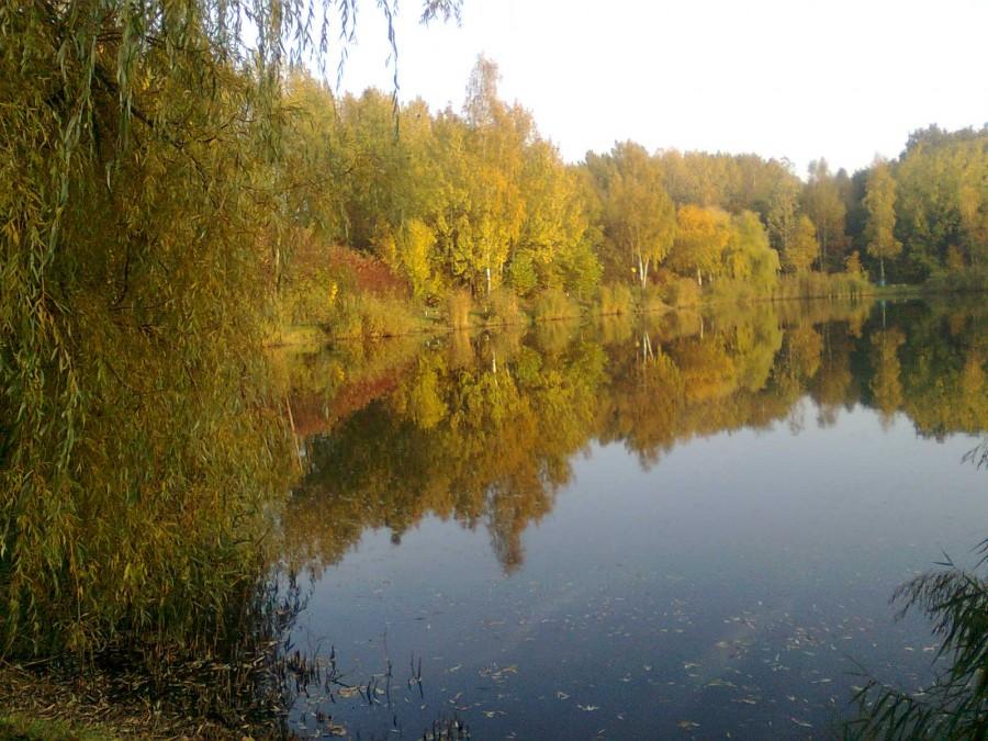 Dolnia Górnika