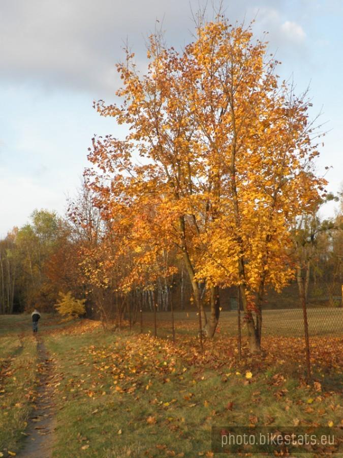 Barwy jesieni
