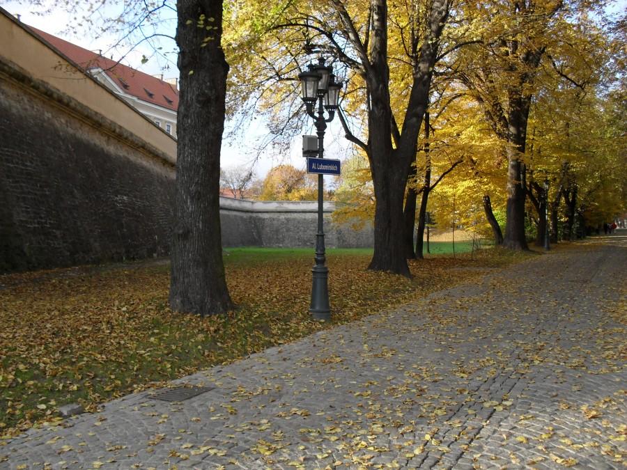 okolice zamku w Rzeszowie