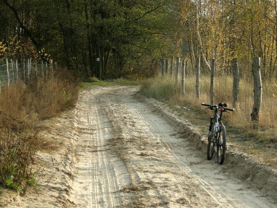 Szlak nadwarciański
