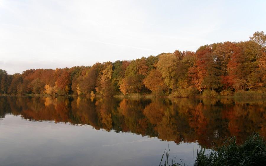 Jesień nad Rusałką