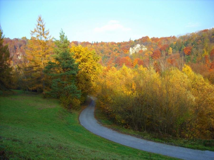 Ojców