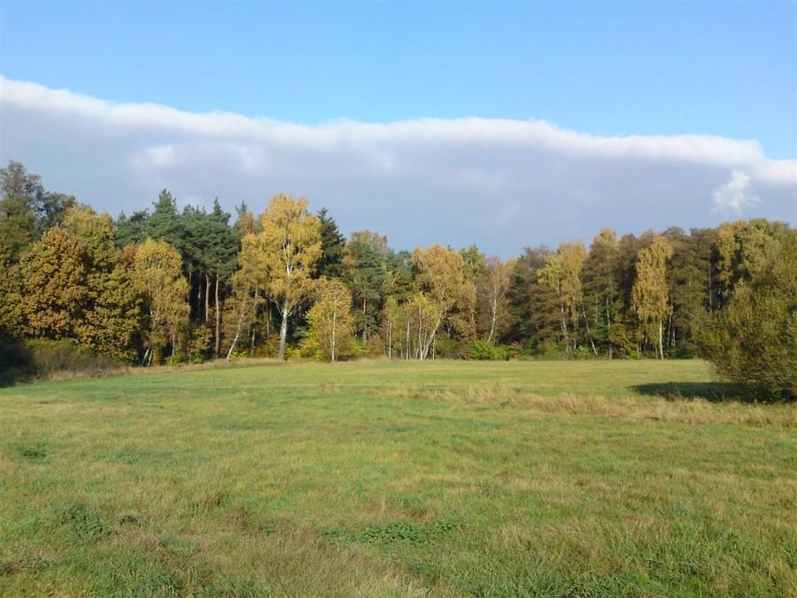 Skraj lasu pod Garbami - trasa z Malty do Tulec