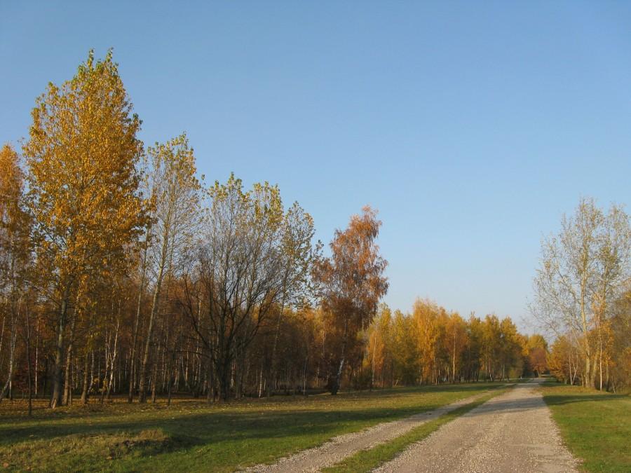 Jesień na Pogorii