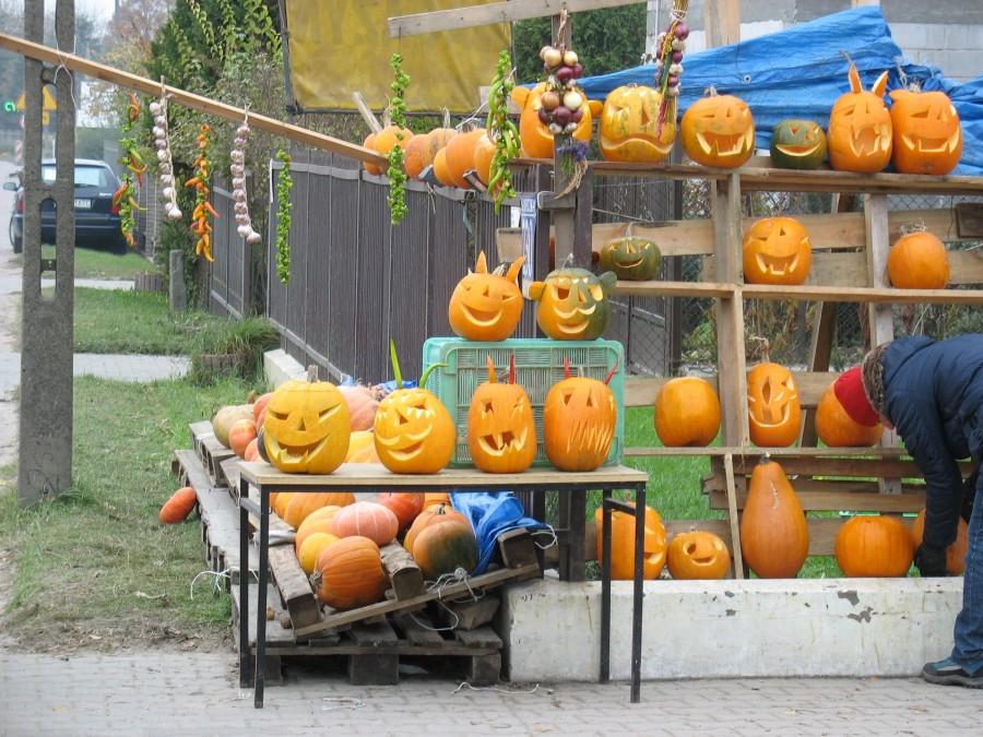 Lesznowola - dynie na Hallowe'en z ostrą papryczką